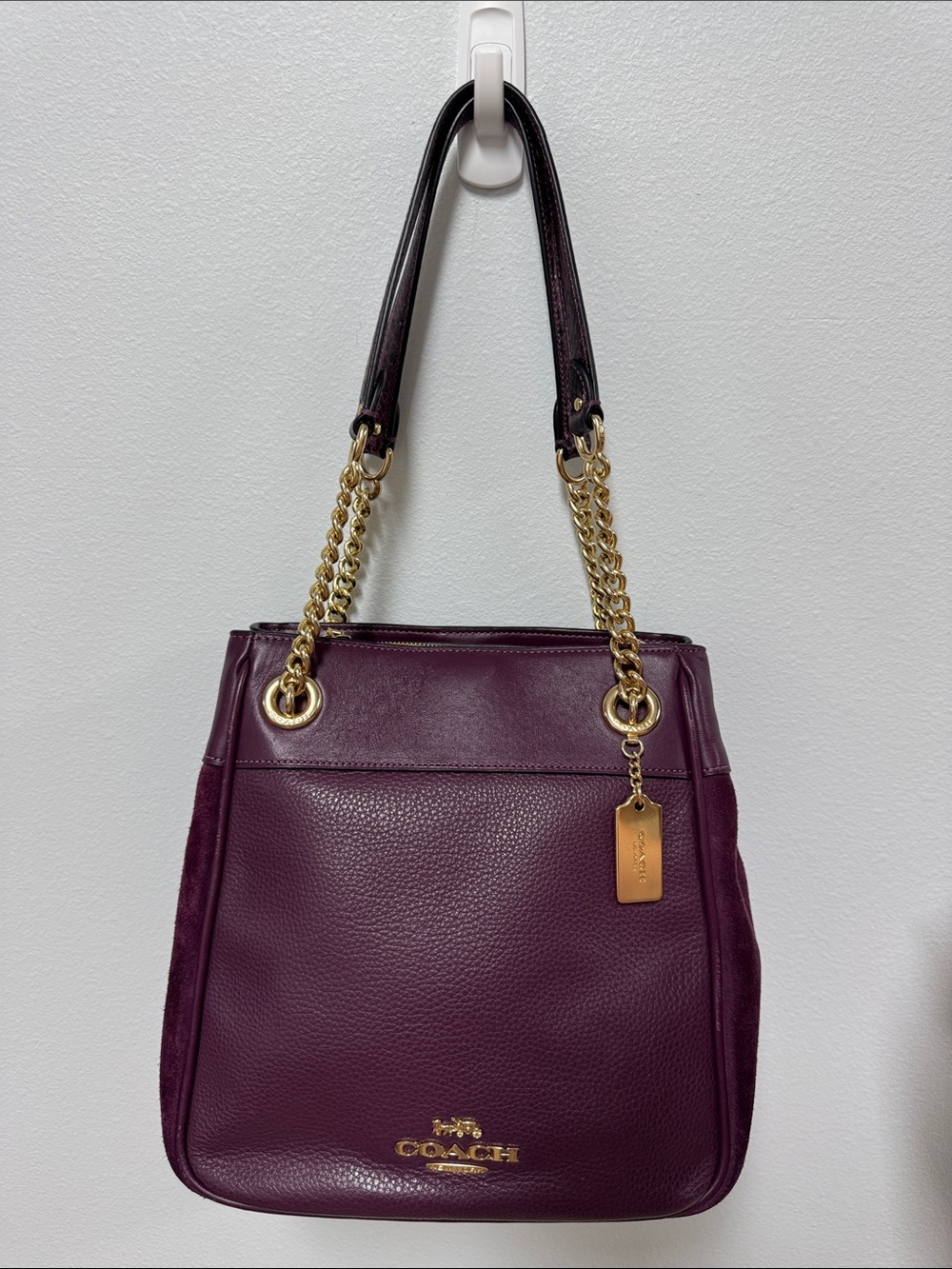 Coach Cammie Chain Bucket Bag in Plum